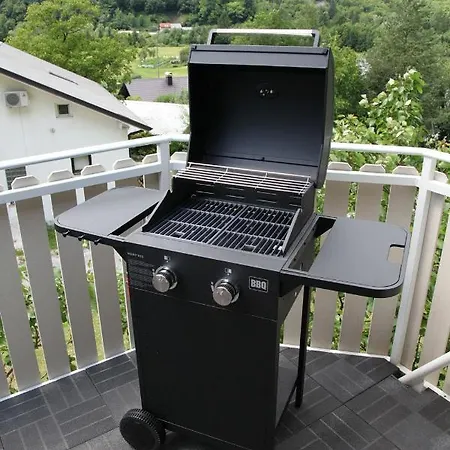 Apartament Pri Leju Srpenica