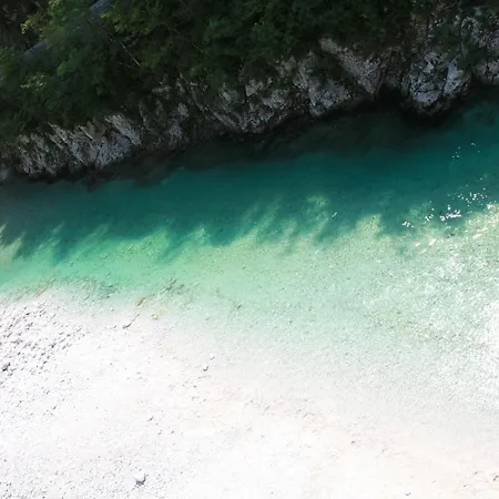 Apartament Pri Leju *