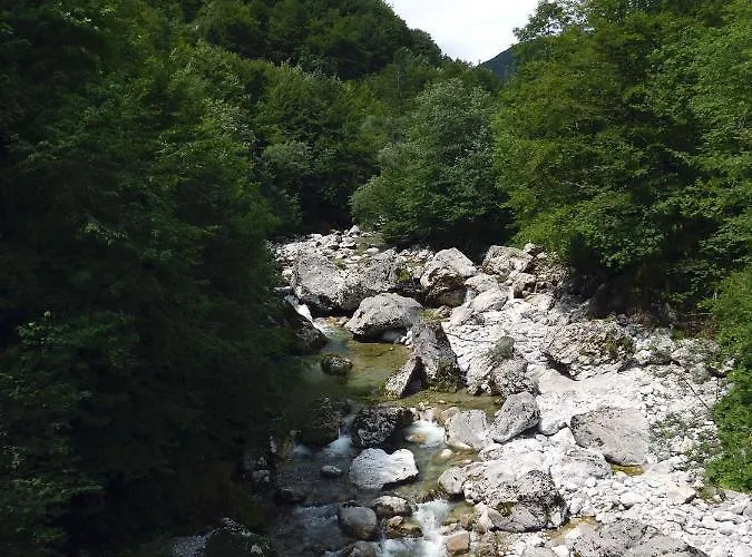 Appartement Pri Leju