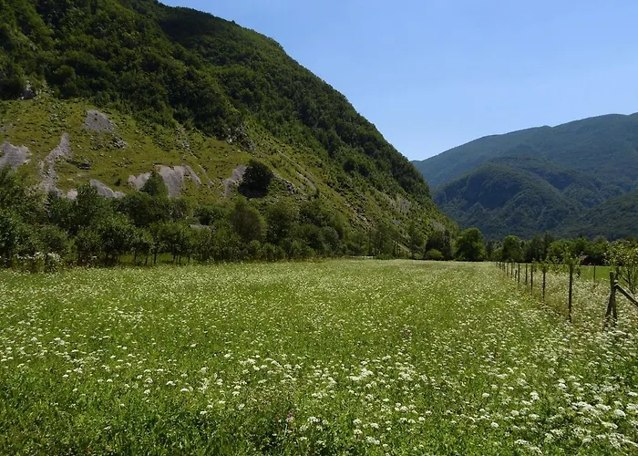 Daire Pri Leju Srpenica