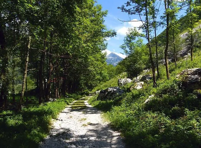 Appartement Pri Leju